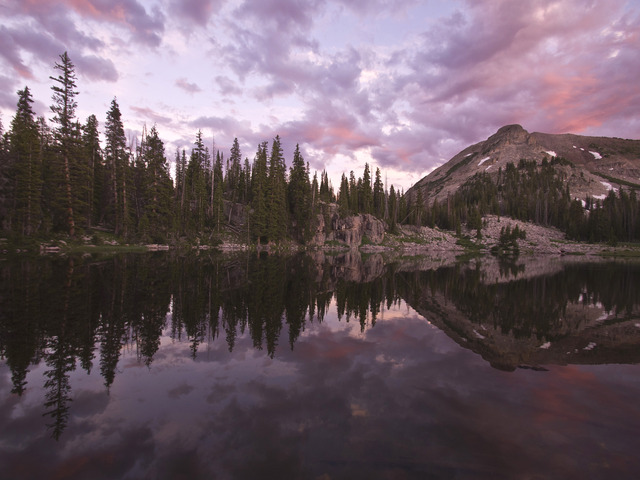 KickStart Me Daily: The Last of Our Wilderness